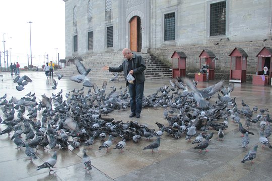 Tour image 5