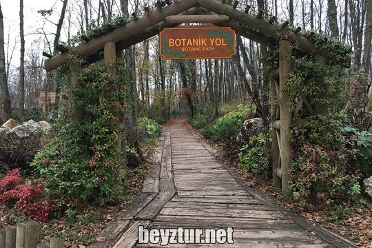 Tour image 4